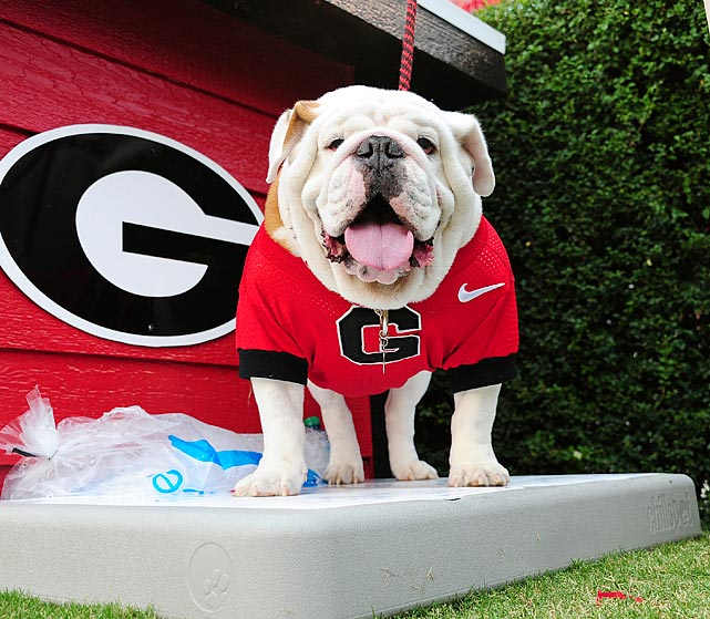 Uga